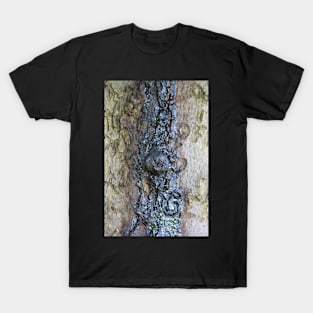Abstract Photograhy Patterns in Tree-Trunk T-Shirt